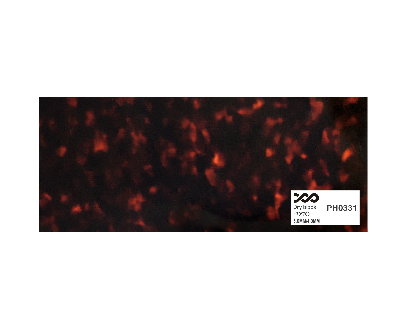 PH0331
